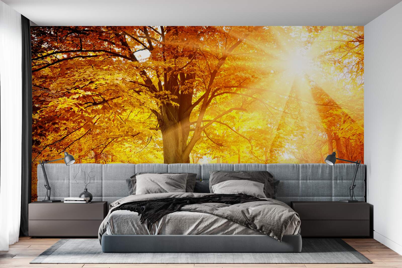 Fototapeta jasné slnečné svetlo preniká cez jesennú hmlu lesa