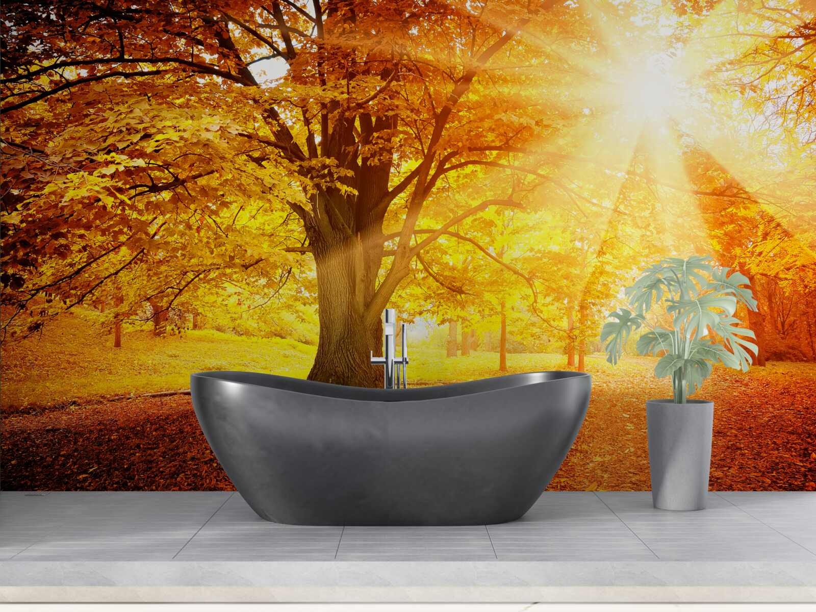 Fototapeta jasné slnečné svetlo preniká cez jesennú hmlu lesa