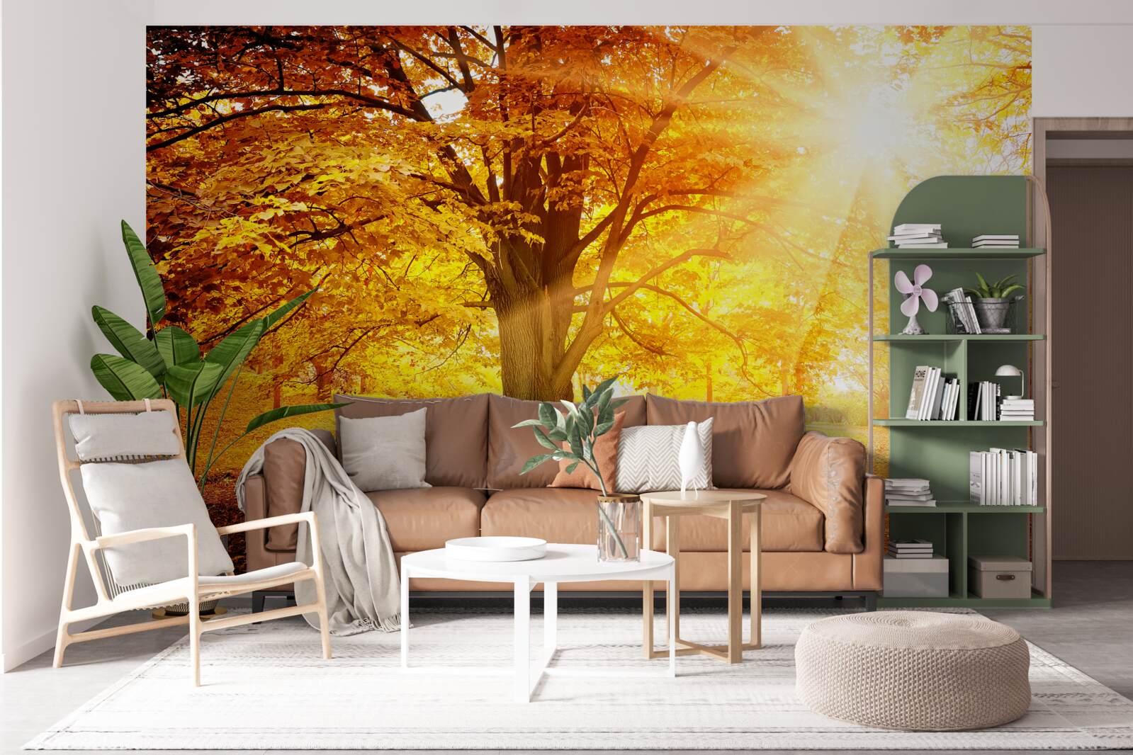 Fototapeta jasné slnečné svetlo preniká cez jesennú hmlu lesa