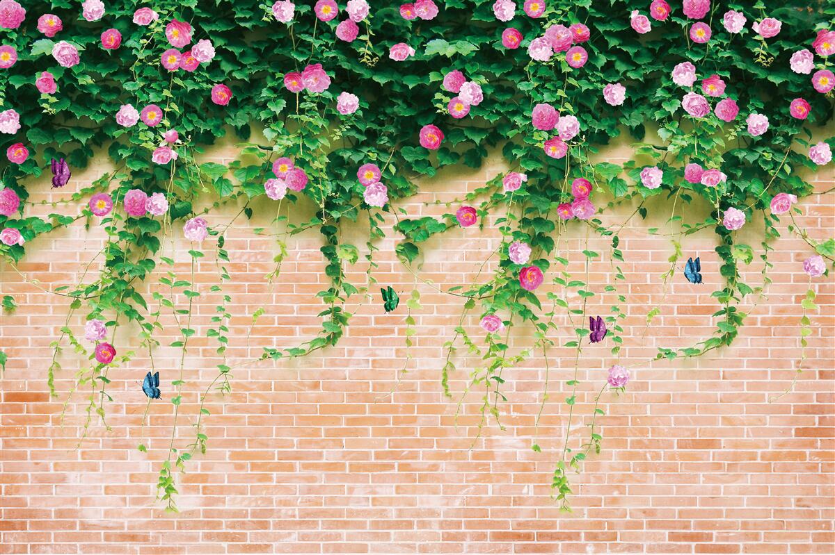 Fototapeta jemné ružové ruže na tehlovej stene