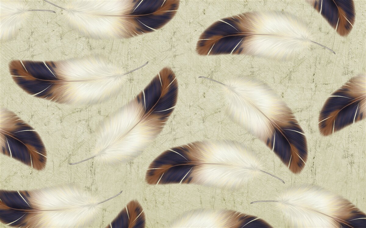 Fototapeta nádherné pozadie peria