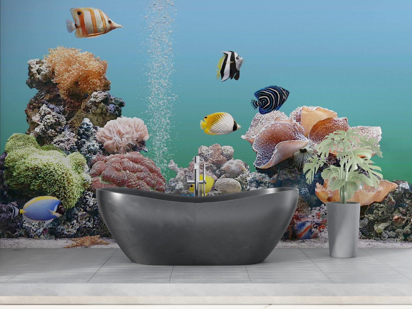 Fototapeta krása koralových bariér