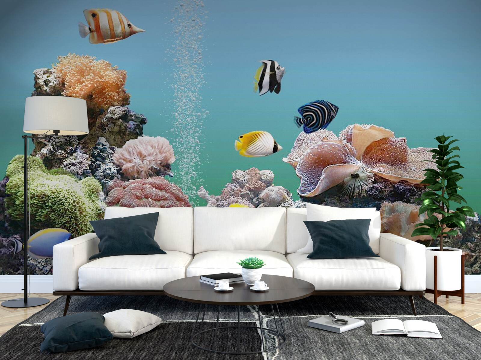 Fototapeta krása koralových bariér