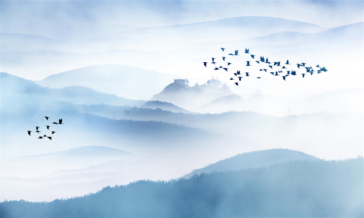 Fototapeta kŕdle vtákov sa vznášajú nad hmlistými vrcholmi