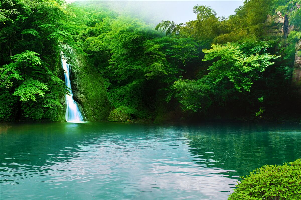 Fototapeta lesný vodopád tečúci z vysokej hory