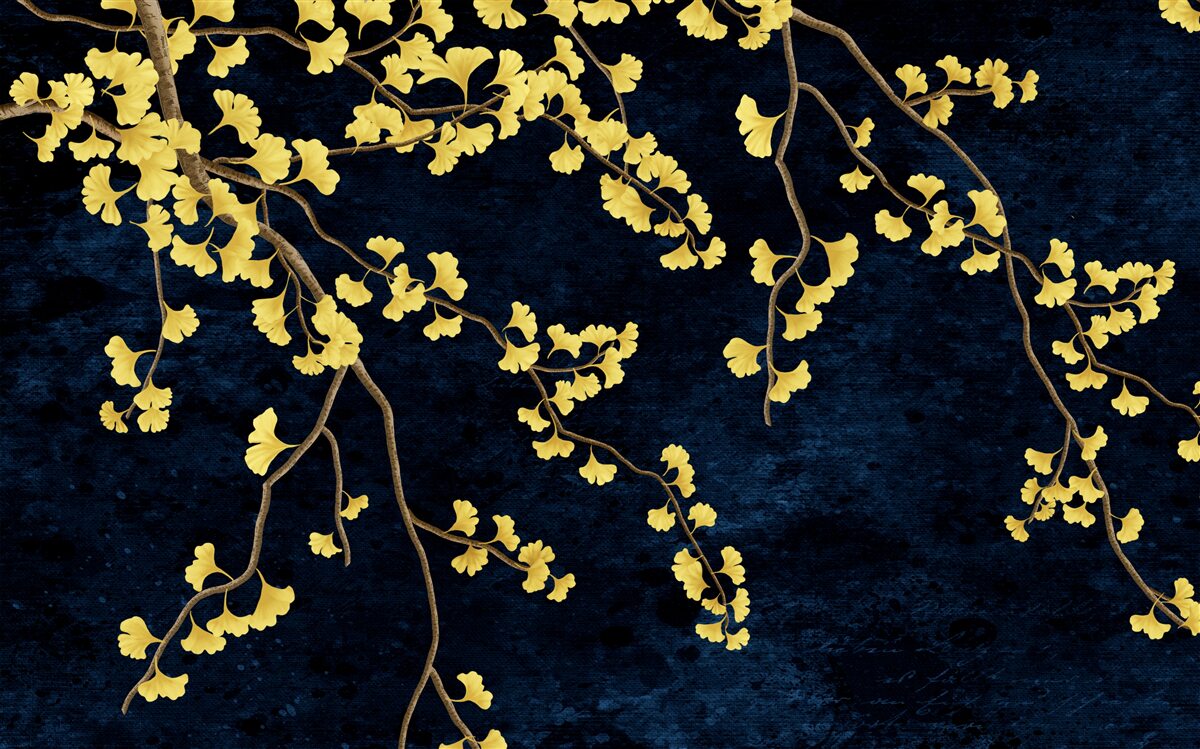 Fototapeta vetvy žltých listov proti nočnej oblohe