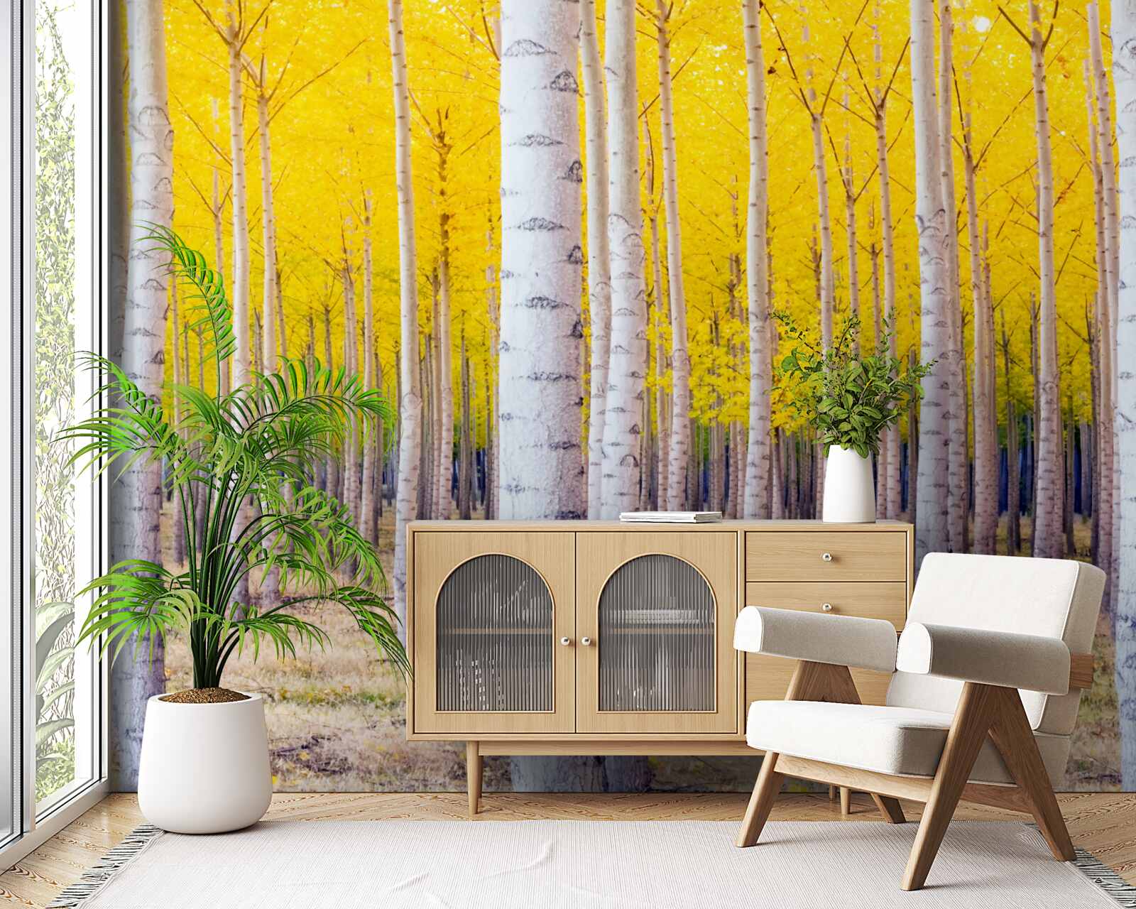 Fototapeta svetložlté farby sa rozžiaria v brezovom lese