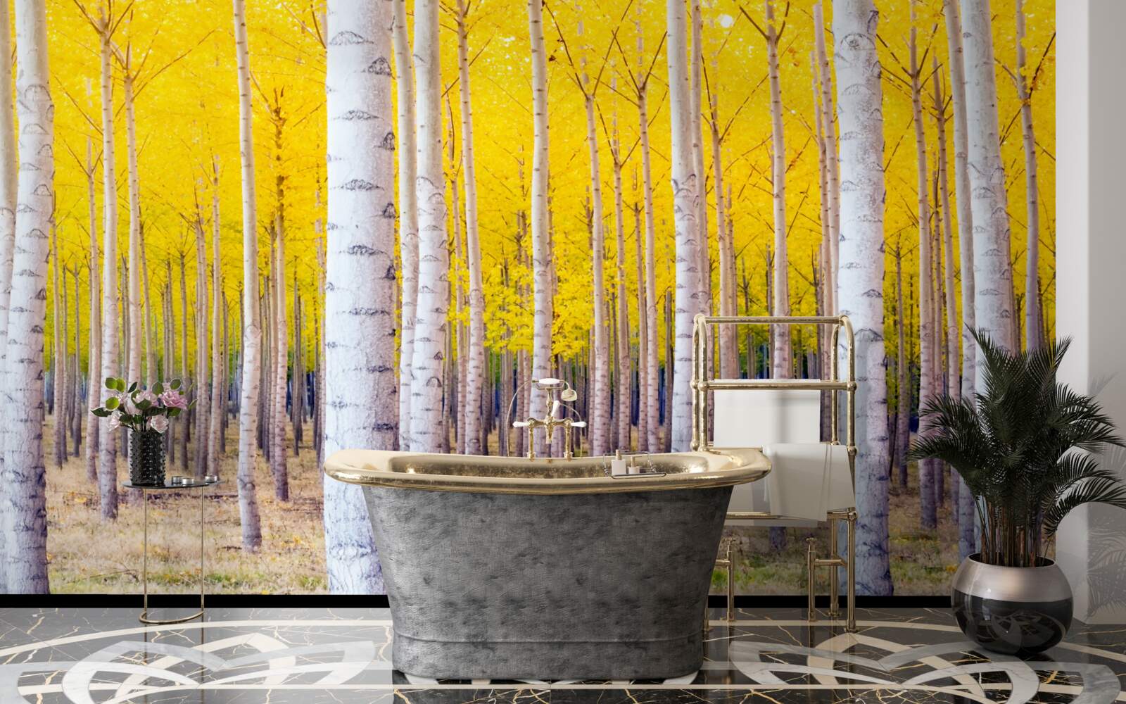 Fototapeta svetložlté farby sa rozžiaria v brezovom lese