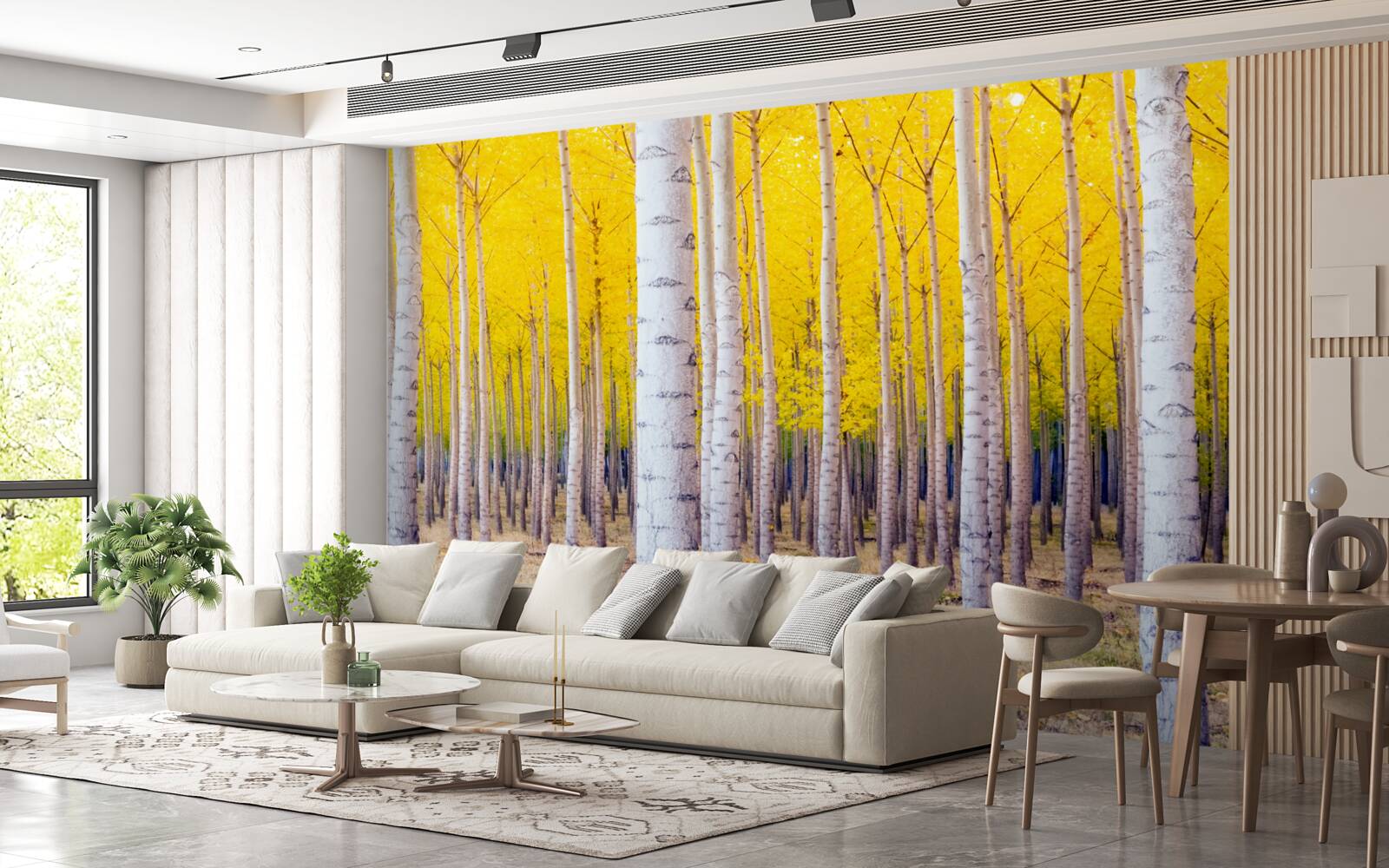 Fototapeta svetložlté farby sa rozžiaria v brezovom lese