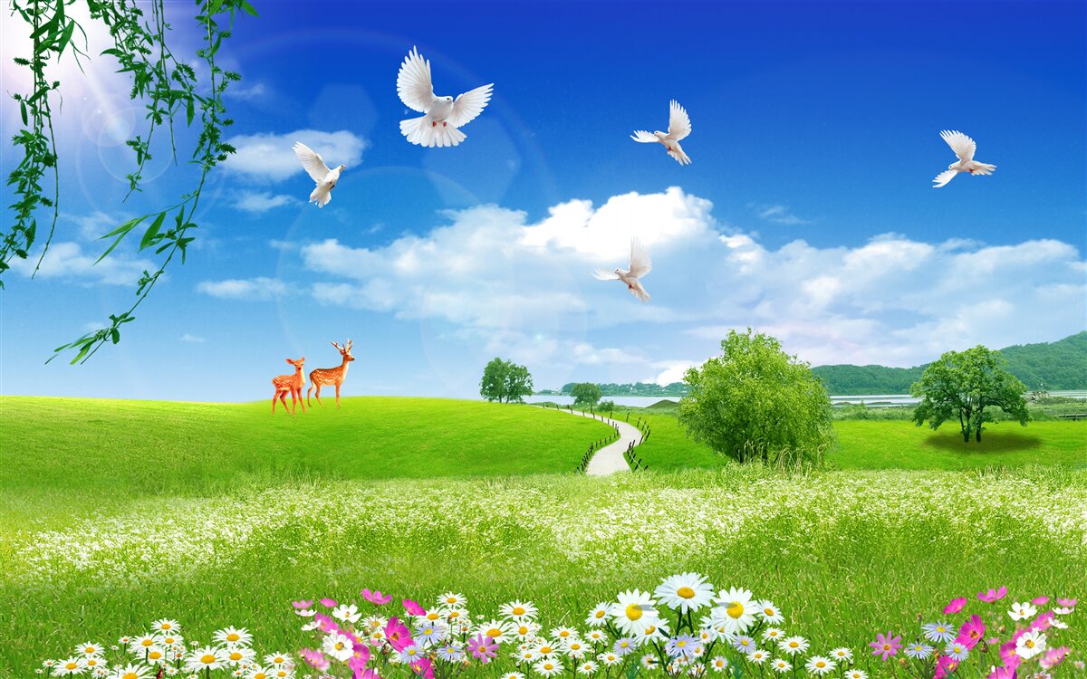 Fototapeta dva jelene v zelených oblastiach