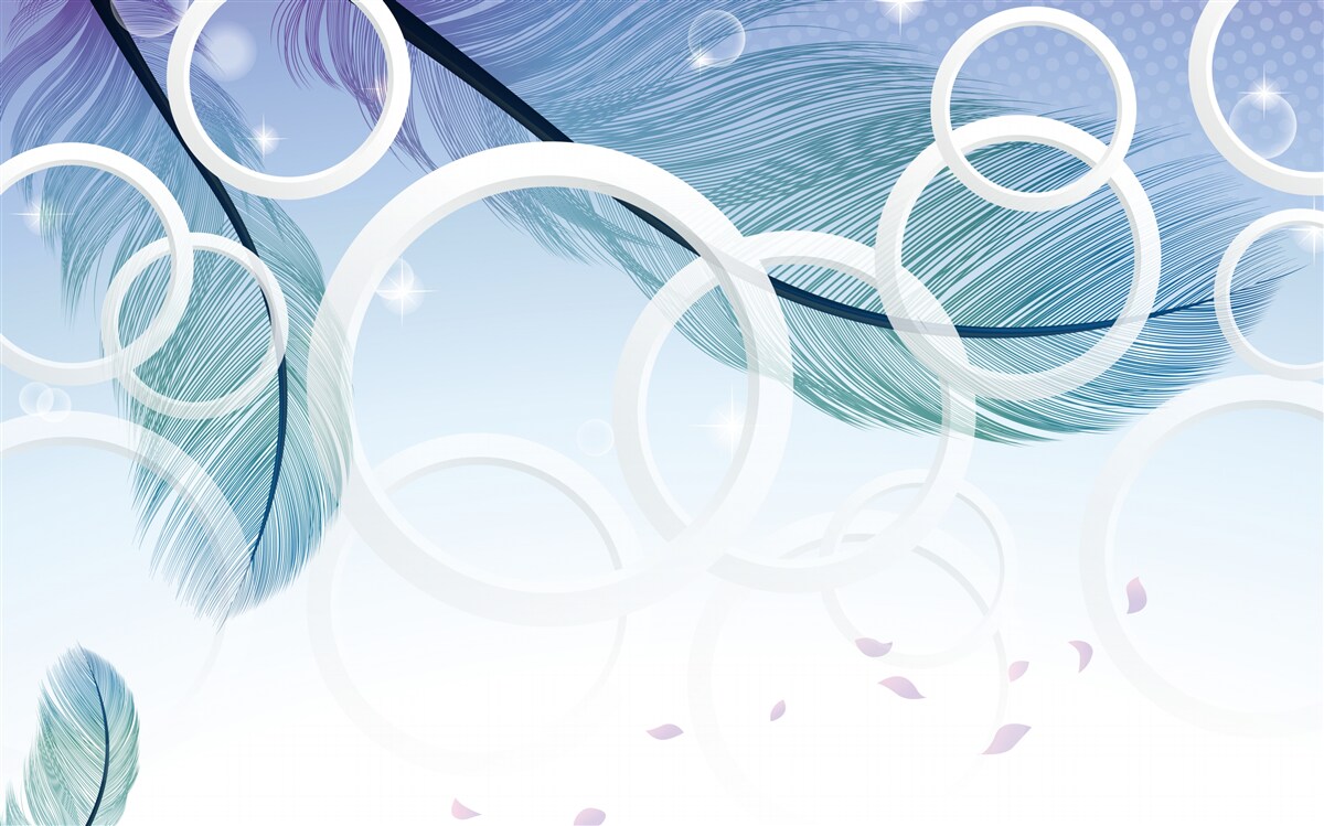 Fototapeta veľké biele kruhy a perie