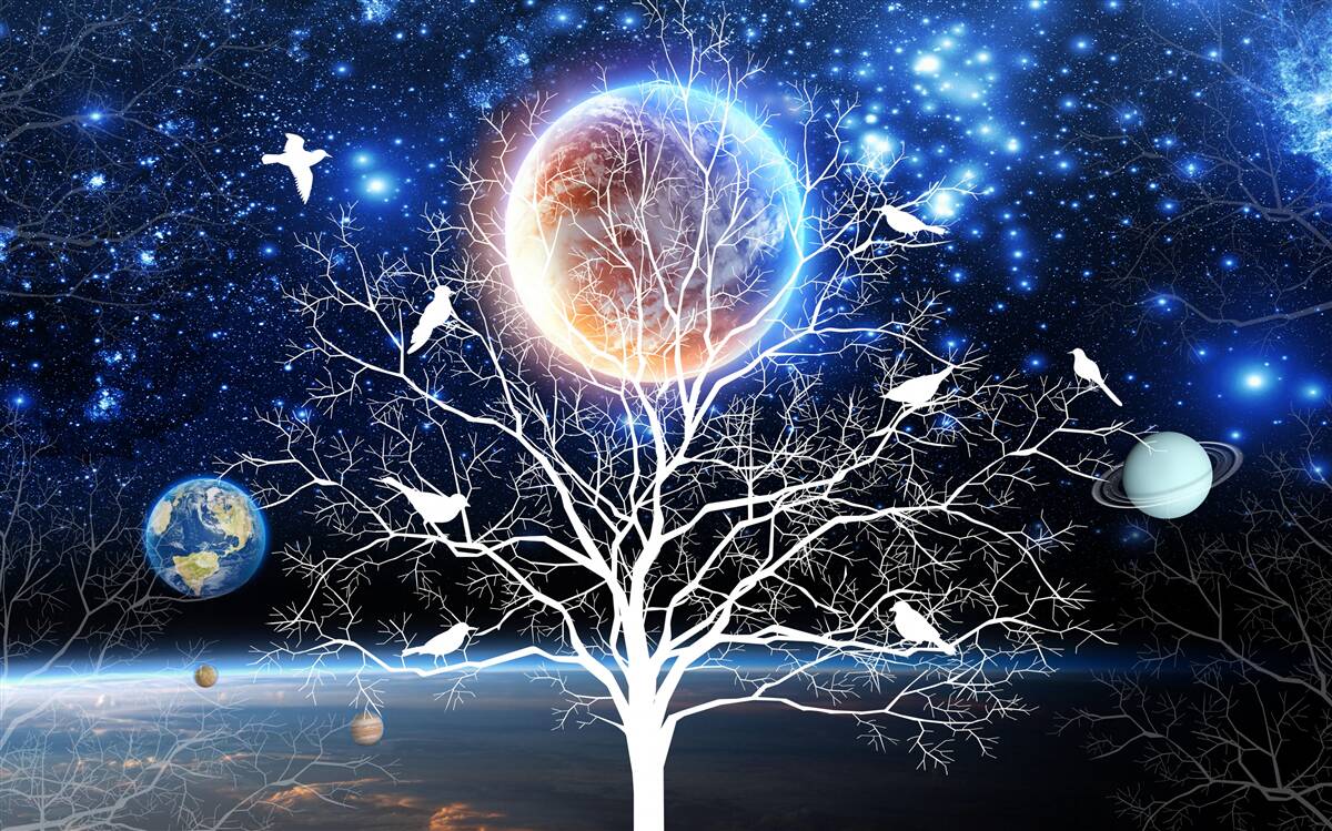 Fototapeta strom mieru na pozadí hviezdnej oblohy