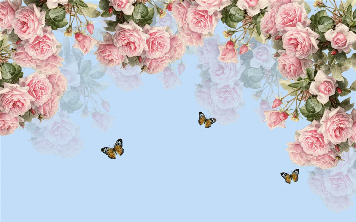 Fototapeta na modrom podklade sú ružové ruže