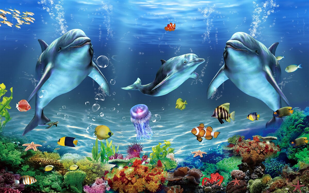 Fototapeta obyvatelia vody - delfíny