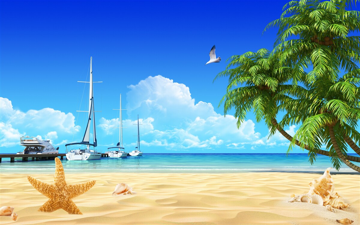 Fototapeta Na móle na pieskovom pobreží sú člny