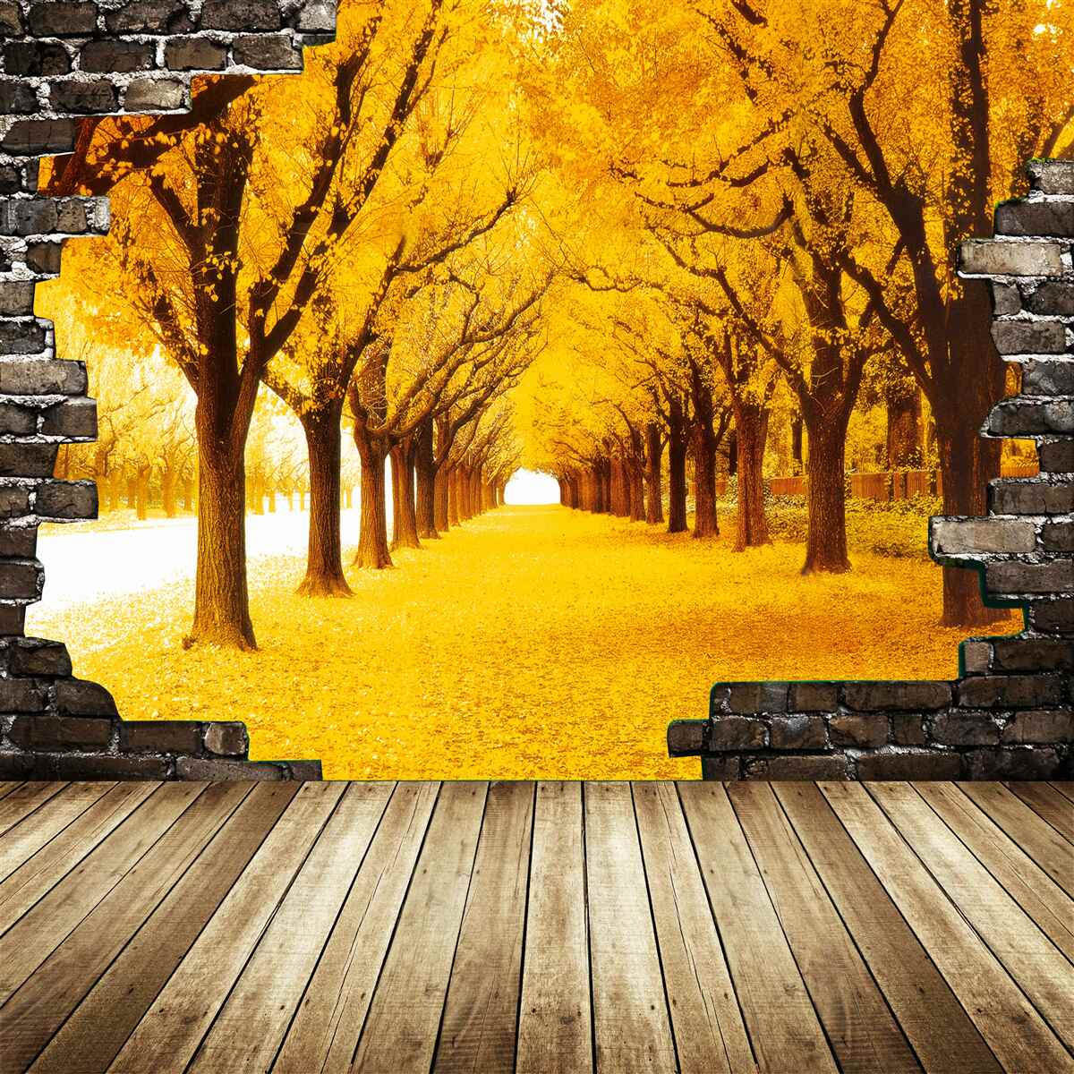 Fototapeta aleja bola pokrytá žltým lístím