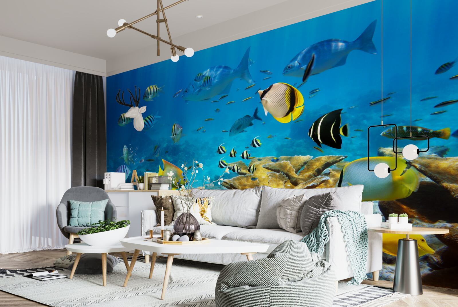 Fototapeta roztomilé morské stvorenia