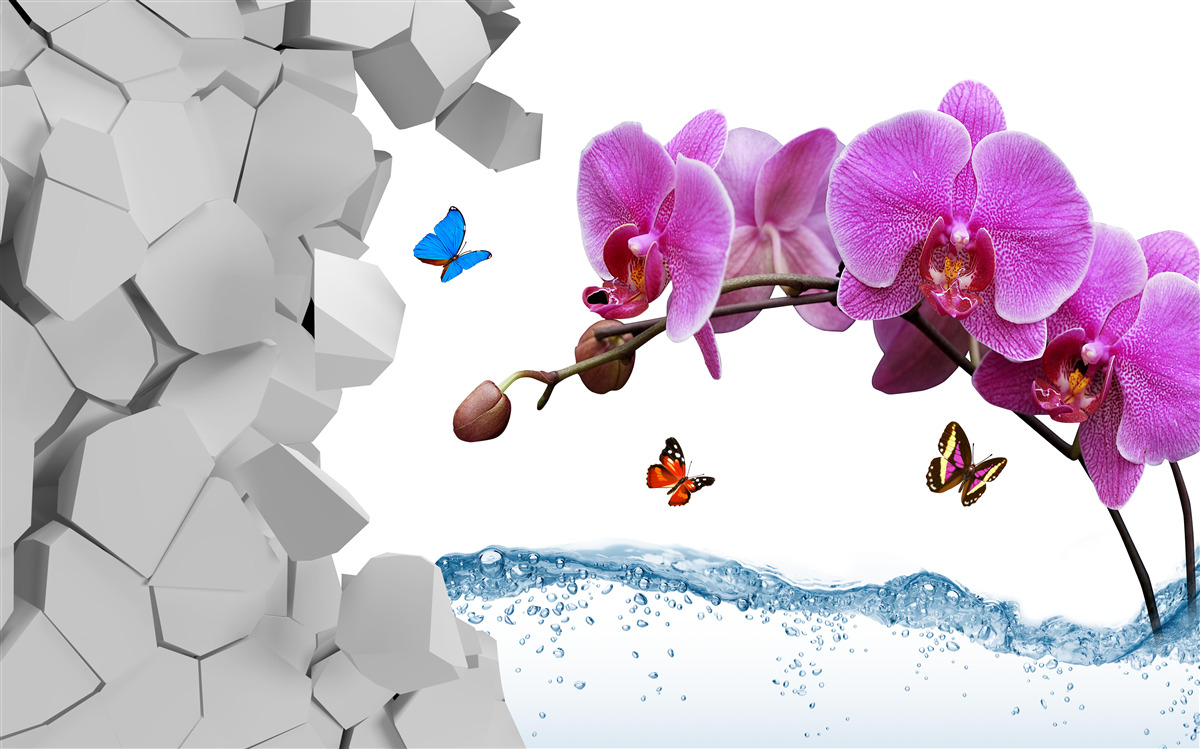 Fototapeta fialová orchidea a motýle na konári