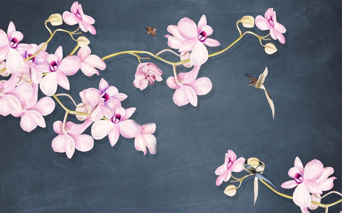 Fototapeta orchidey v jemnom fialovom odtieni