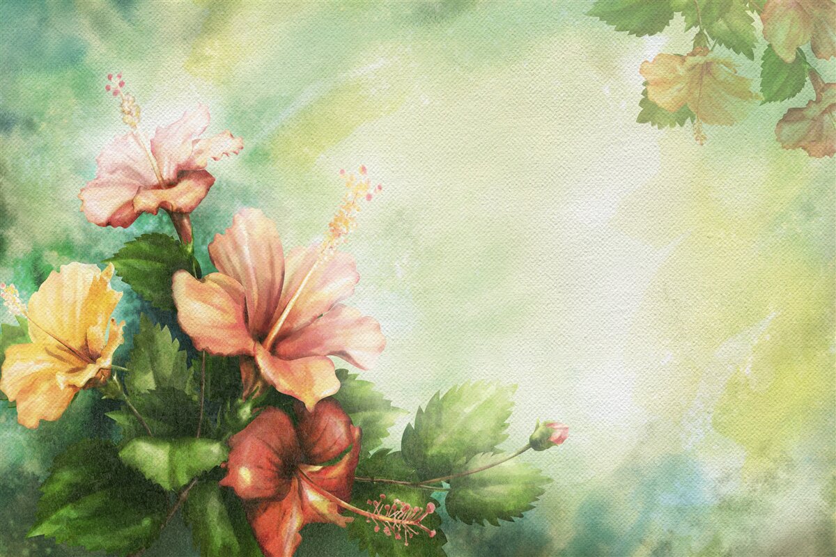 Fototapeta krásne akvarelové rastliny