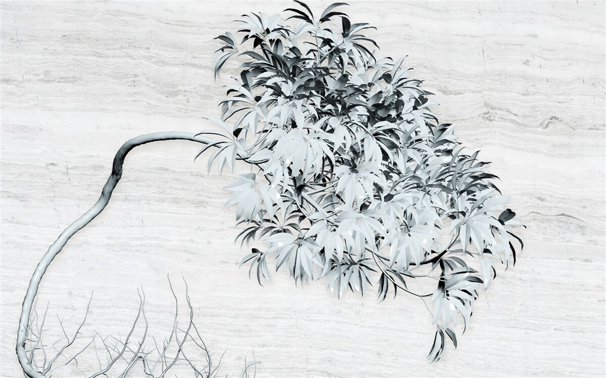 Fototapeta strom stojaci sám vo vetre