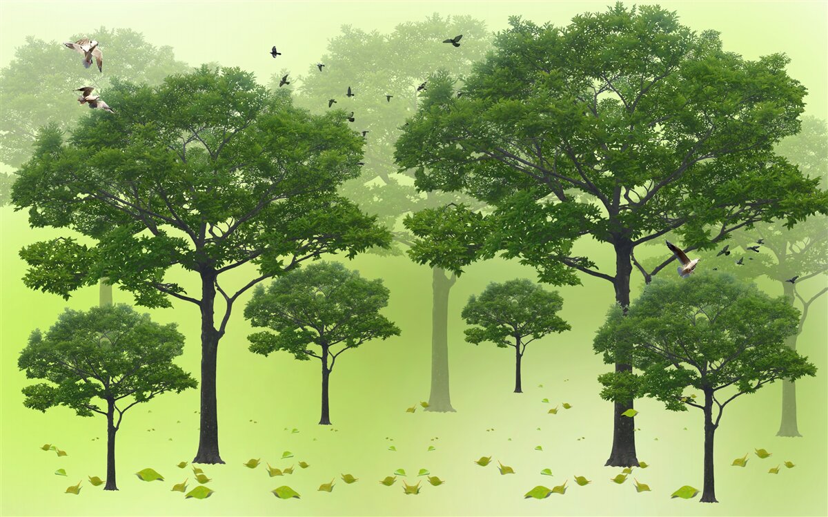 Fototapeta listnaté stromy sú zelené