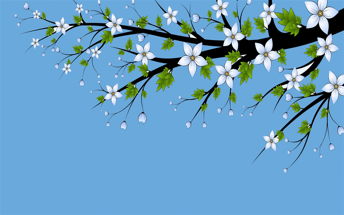 Fototapeta konárik, na ktorom sa otvárajú biele púčiky