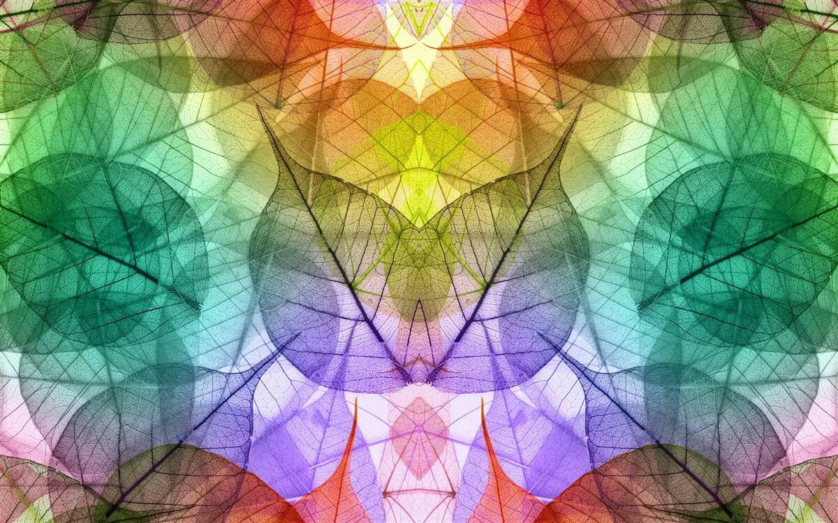 Fototapeta listy trblietajúce sa všetkými odtieňmi dúhy