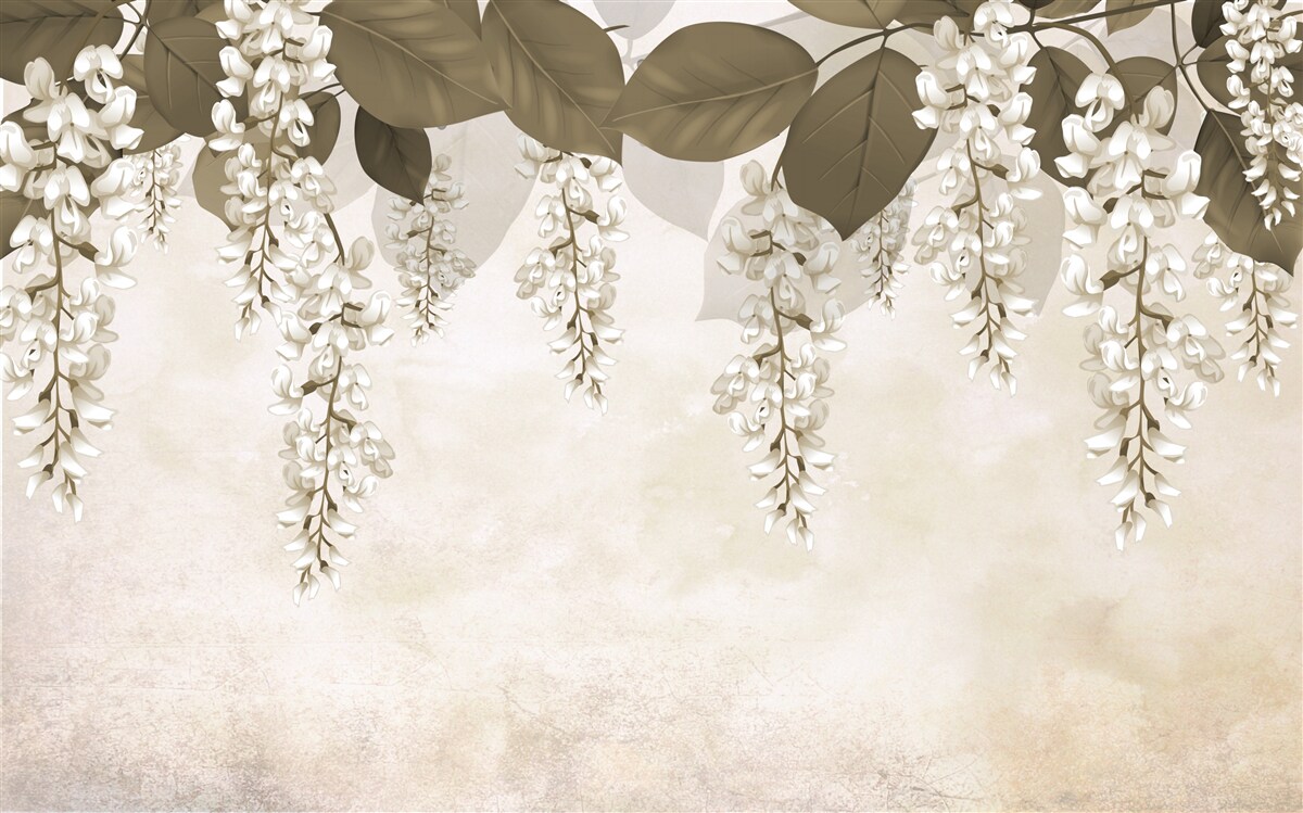 Fototapeta akácia s bielymi kvetmi