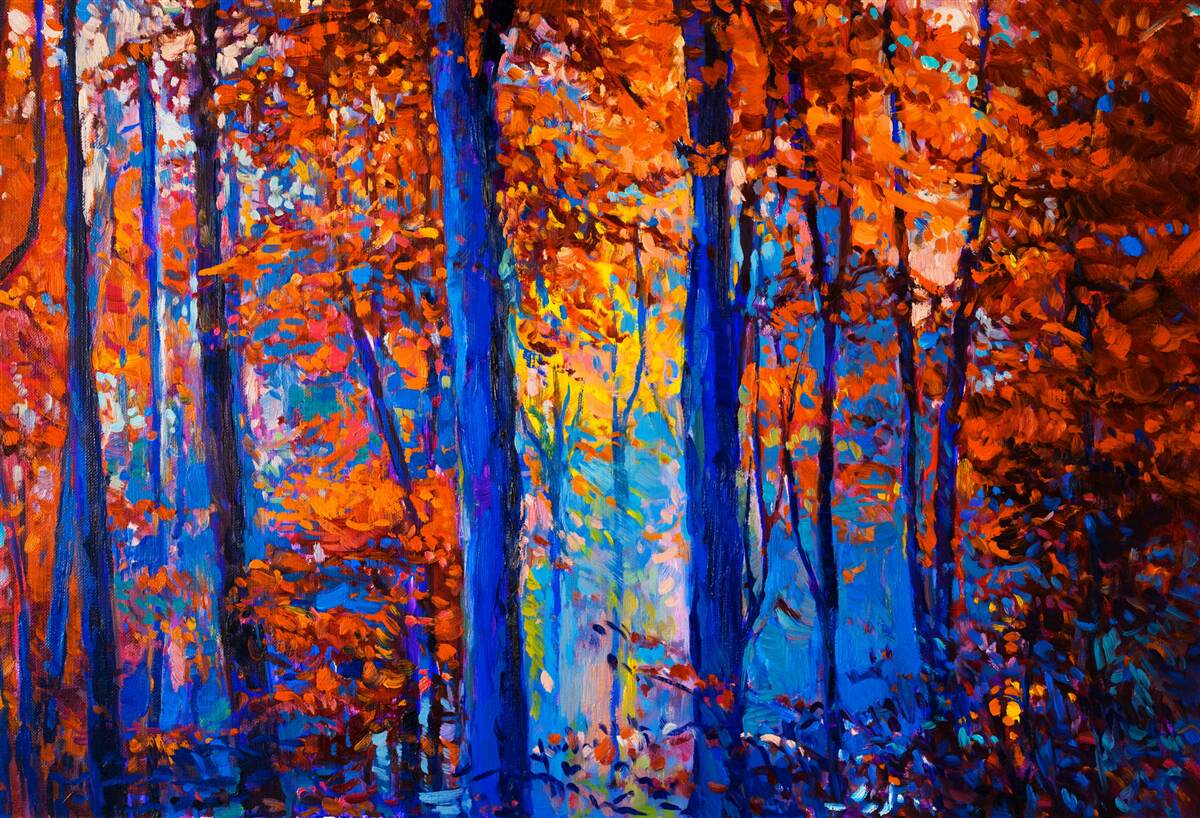 Fototapeta farebný kontrast v jesennom lese