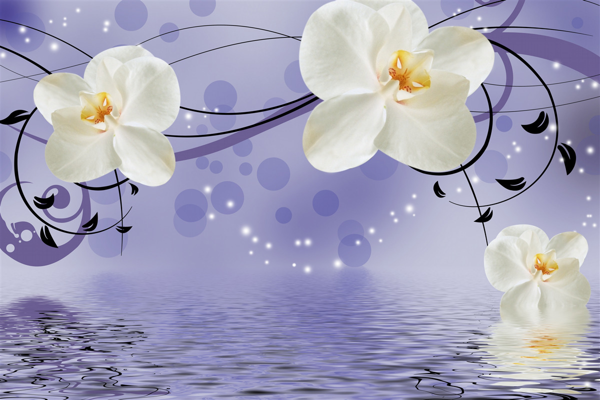 Fototapeta pri jazierku sú veľké snehobiele kvety