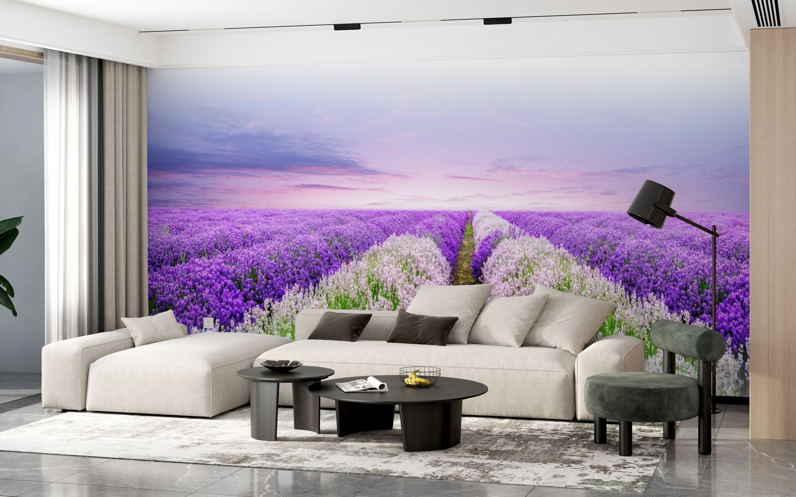 Fototapeta pole s voňavou levanduľou na lúkach