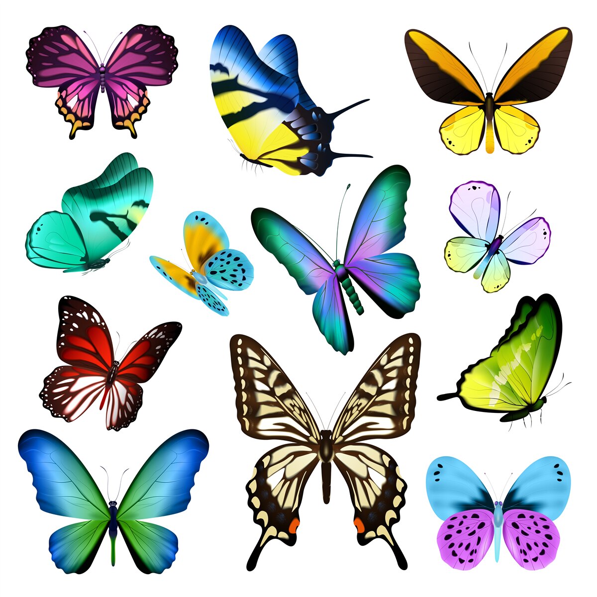 Fototapeta akvarel zobrazujúci škandinávske listy