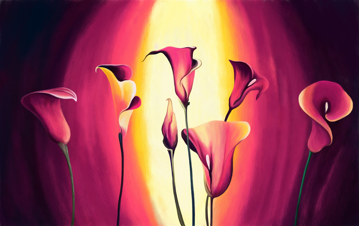 Fototapeta callas neuveriteľnej krásy