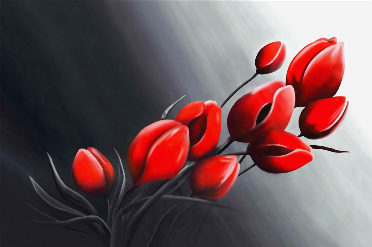 Fototapeta jasne červené tulipány, ktoré sa ešte neotvorili