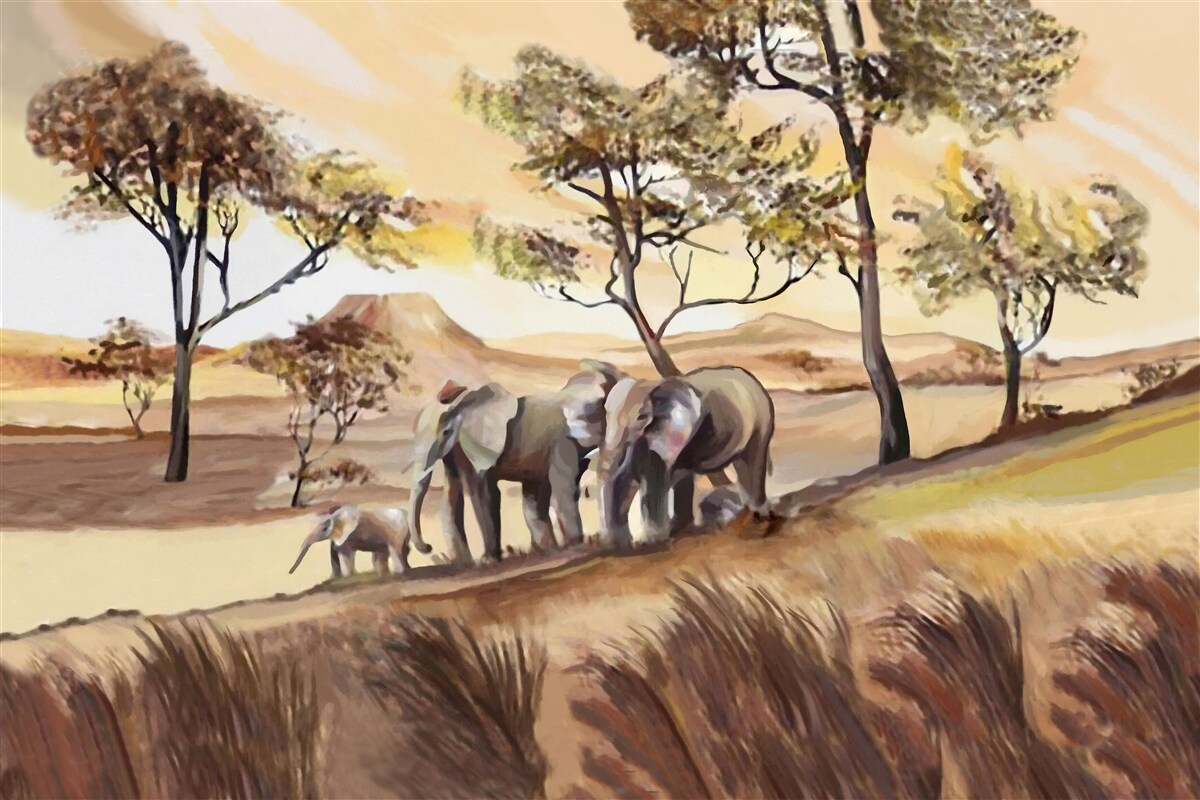 Fototapeta sloní rodinný výlet