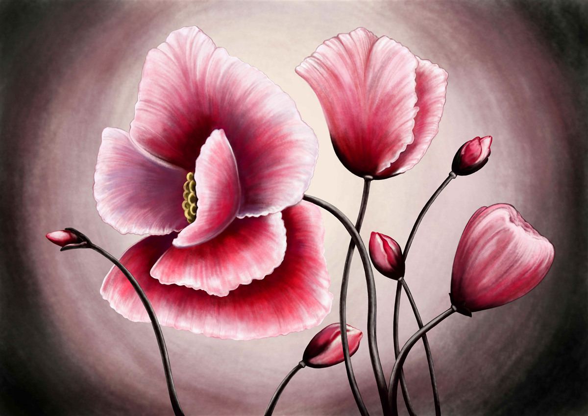 Fototapeta vlčie maky kvitnúce na ružovo