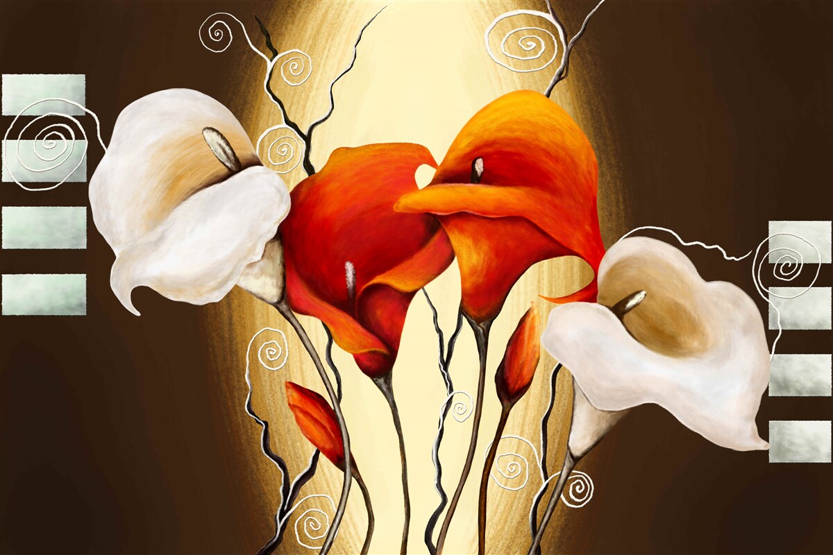 Fototapeta červené a biele callas