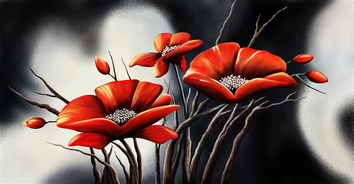 Fototapeta čierne pozadie je zdobené červenými makmi