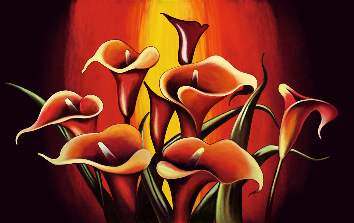 Fototapeta kaly kvitnúce v ohnivých odtieňoch