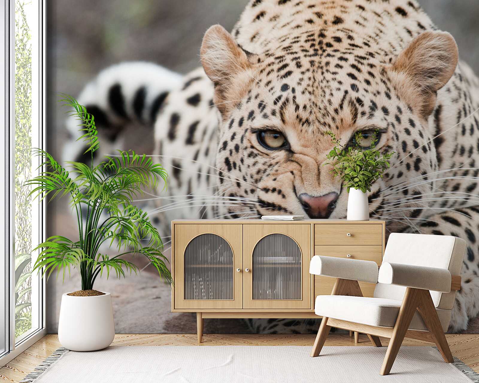 Fototapeta leopard sa chystá skočiť