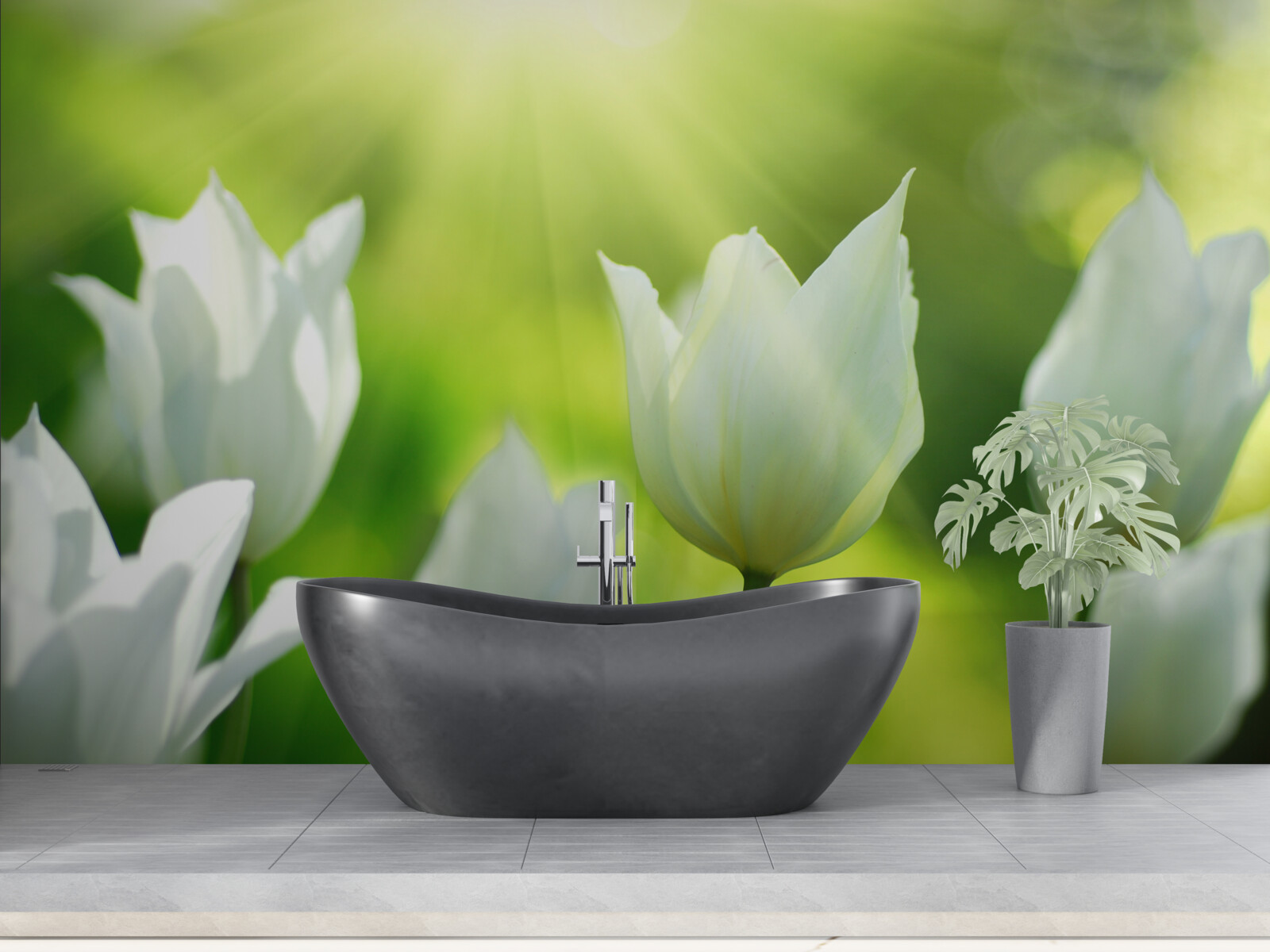 Fototapeta Snehovo biele tulipány pod lúčmi slnka