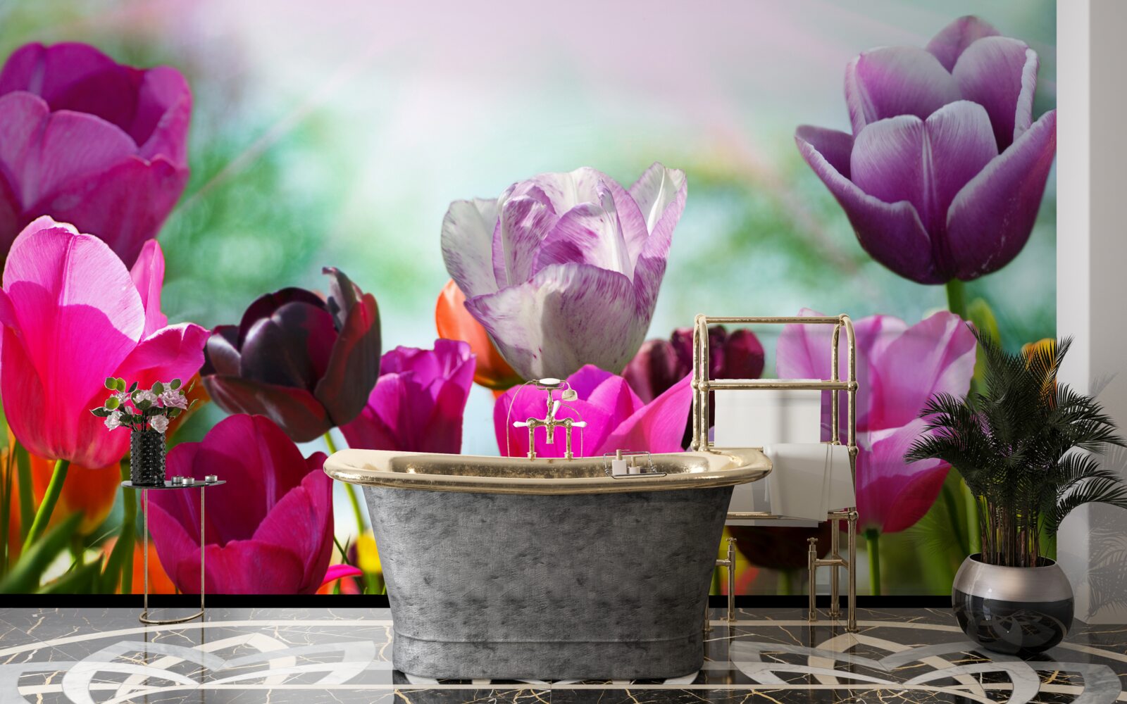 Fototapeta tulipány v rôznych farbách