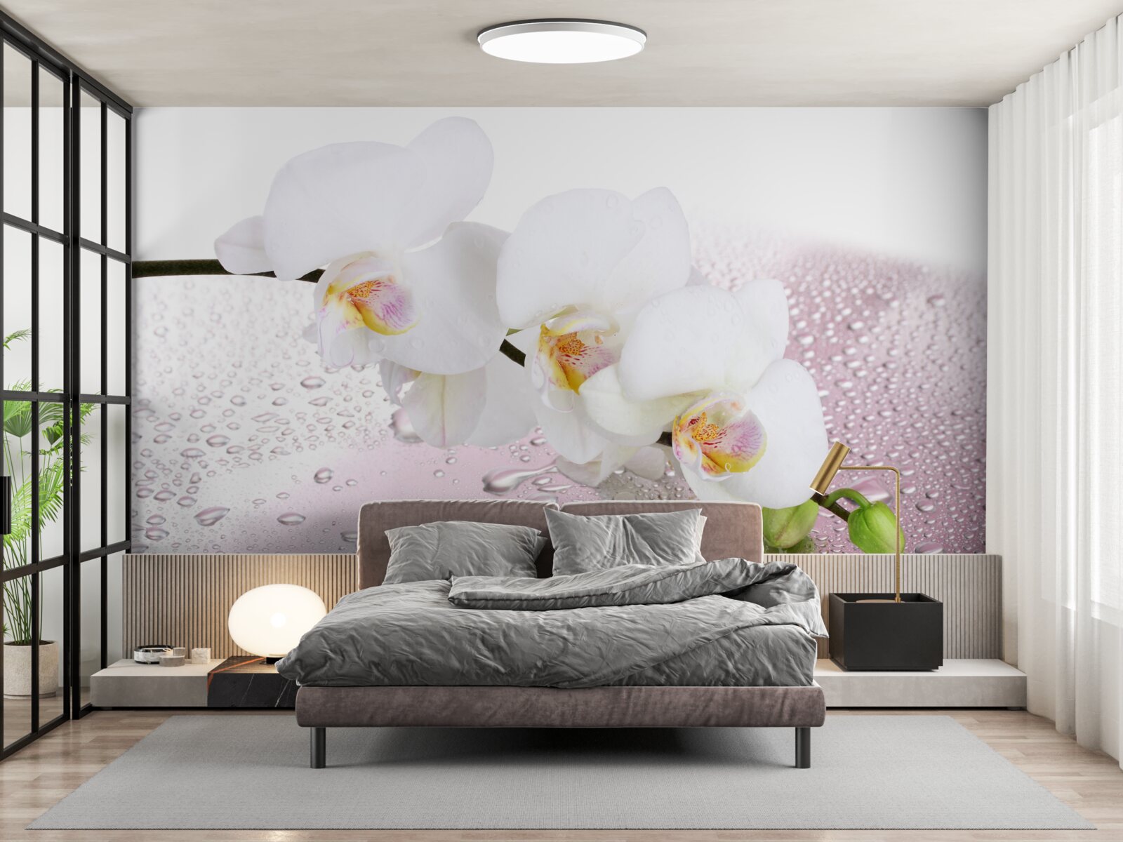 Fototapeta vlhká biela vetvička orchidey zdobená kvapkami vody