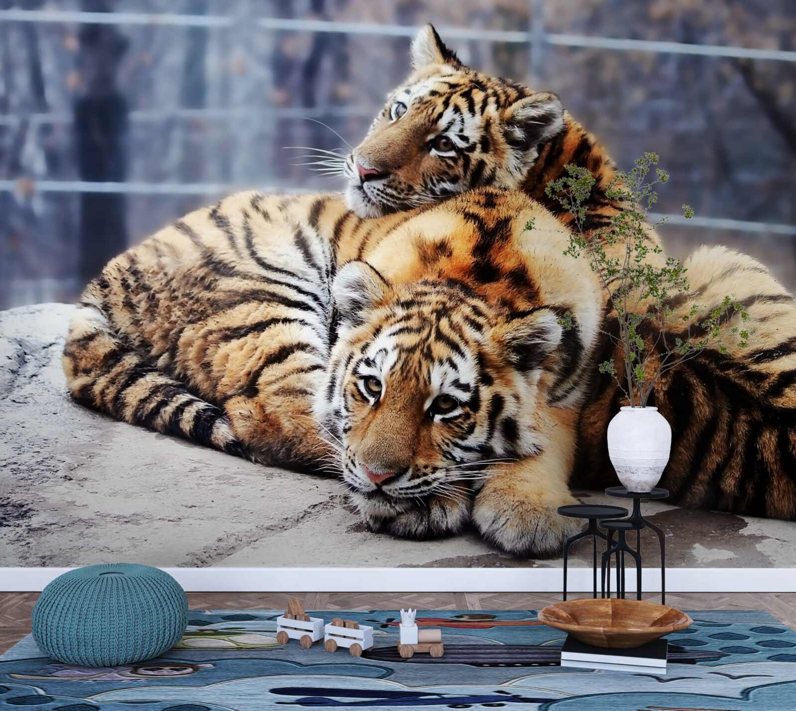 Fototapeta Spiace tigre majú krásu