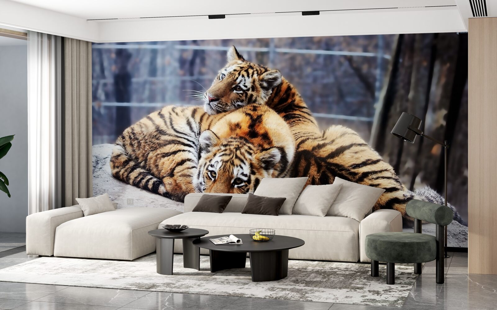 Fototapeta Spiace tigre majú krásu