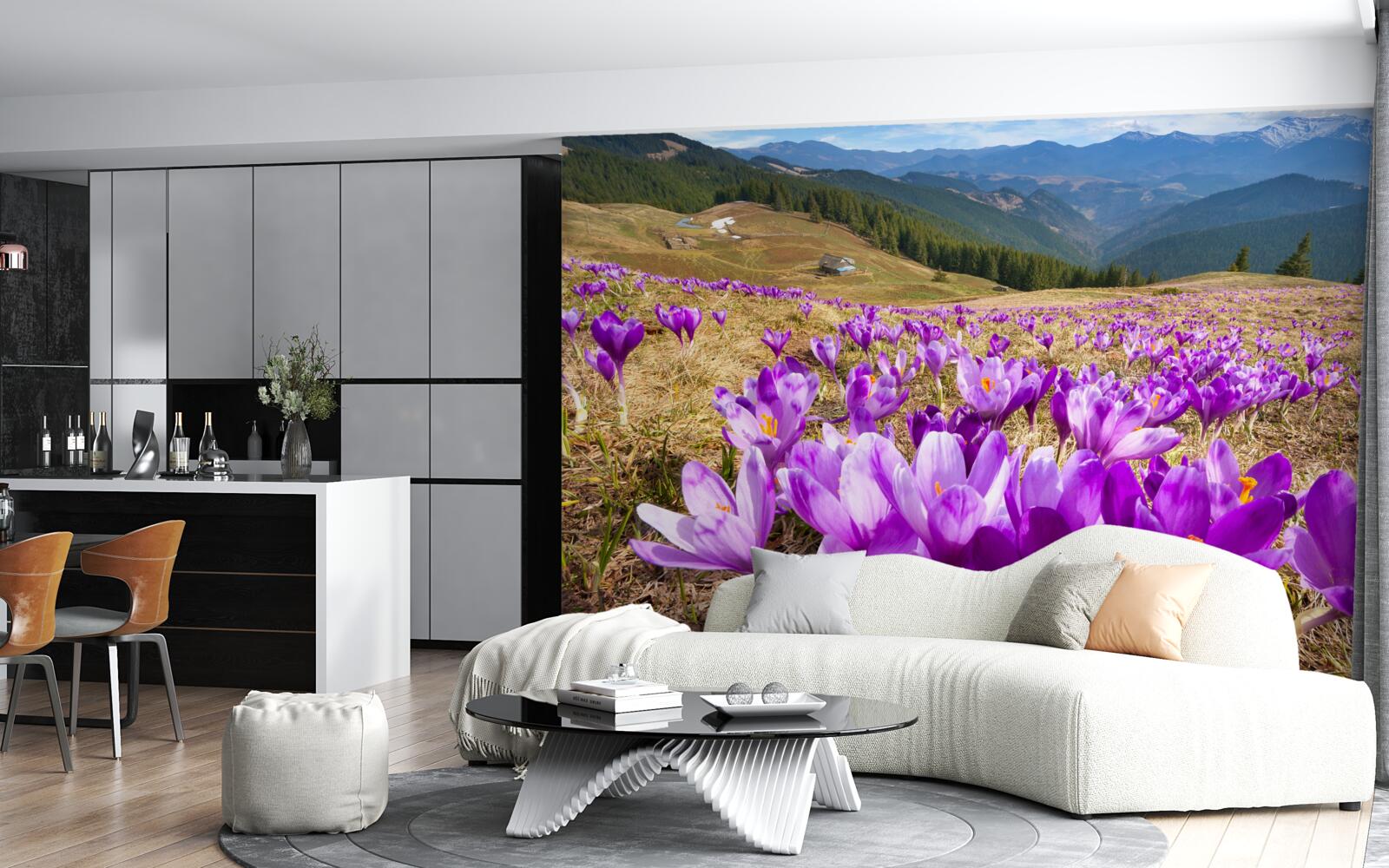 Fototapeta horské krokusy sú fialové