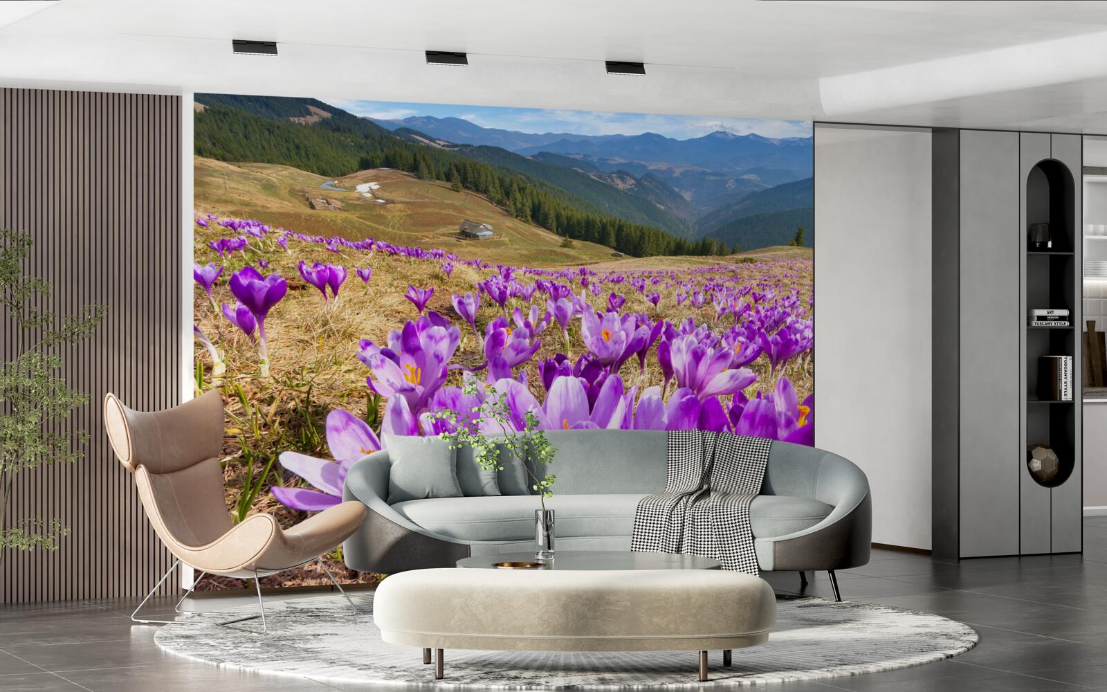 Fototapeta horské krokusy sú fialové