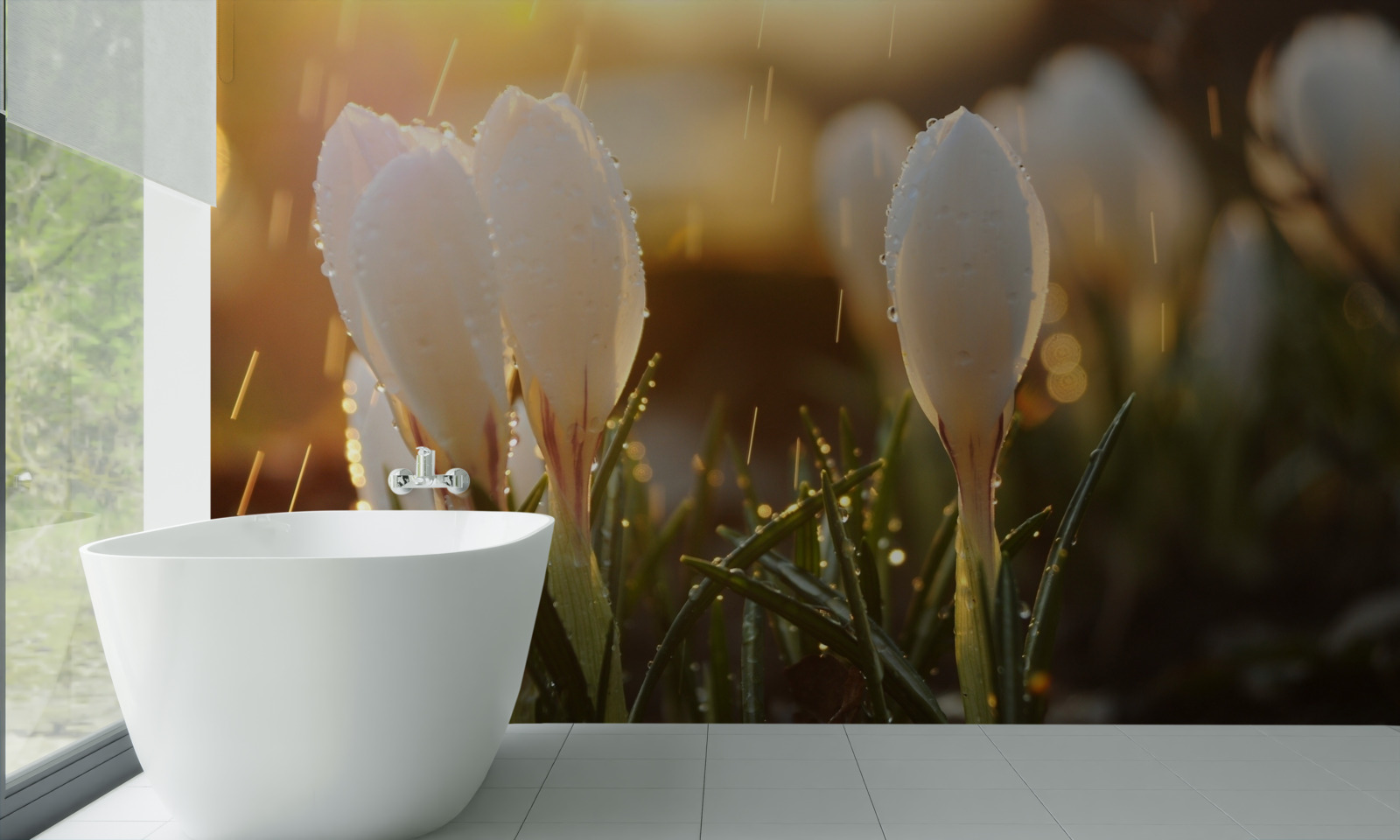 Fototapeta kvety v snehobielej rose