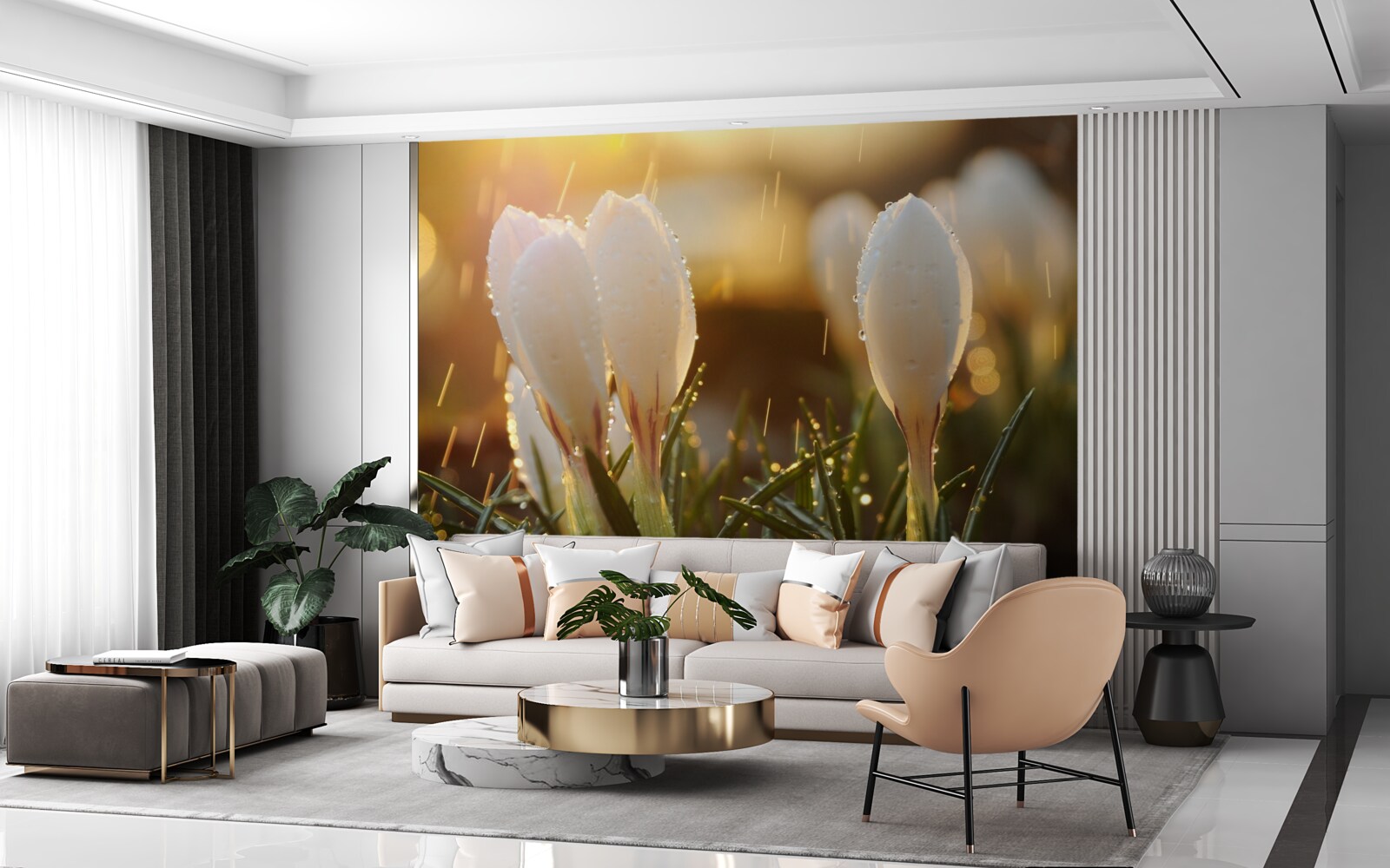 Fototapeta kvety v snehobielej rose